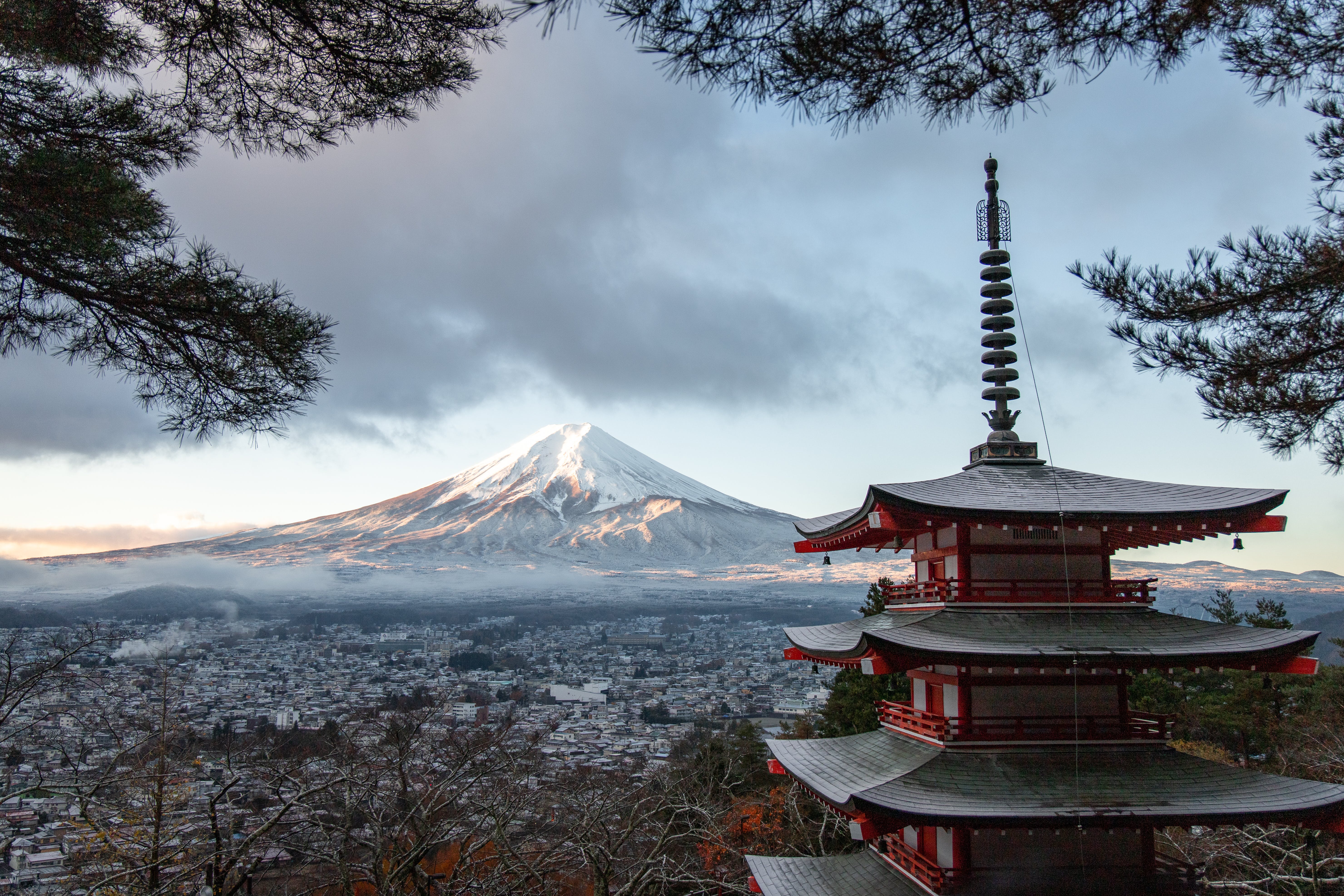 Working Holiday in Japan with monkeys