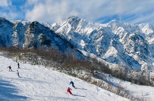 My office in the ski fields in Japan on Working Holiday Visa